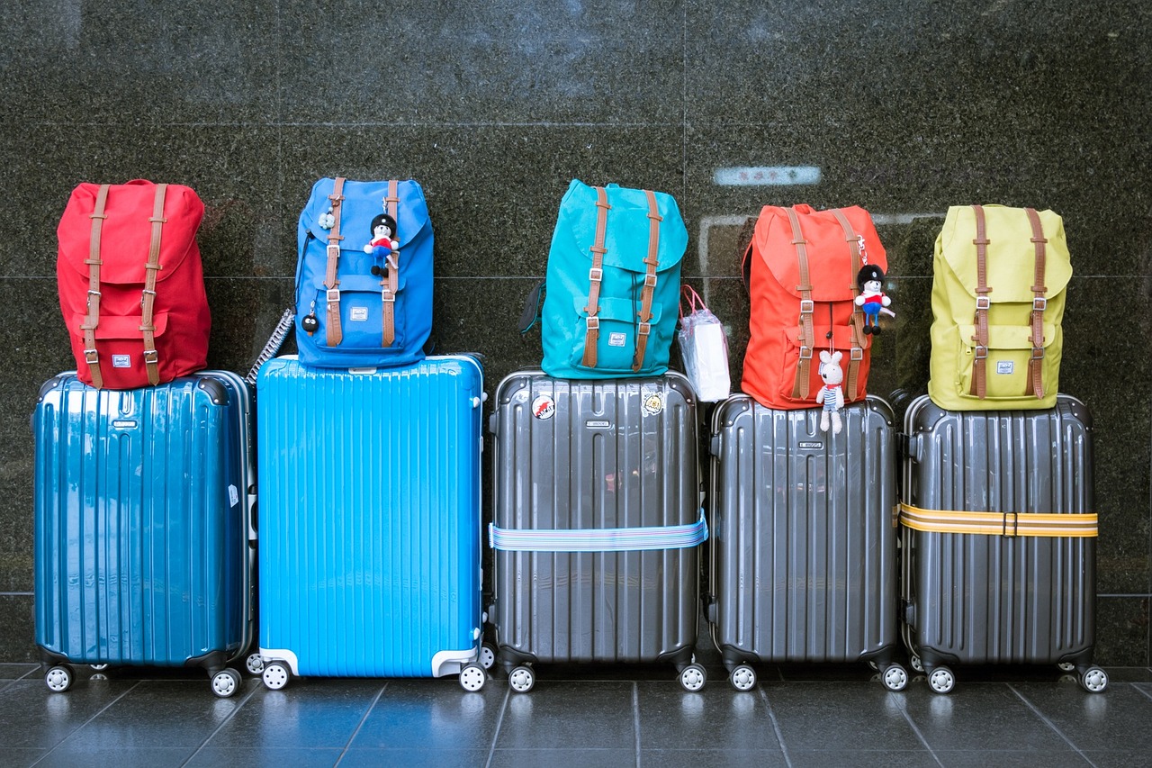 luggage suitcases baggage bags 933487
